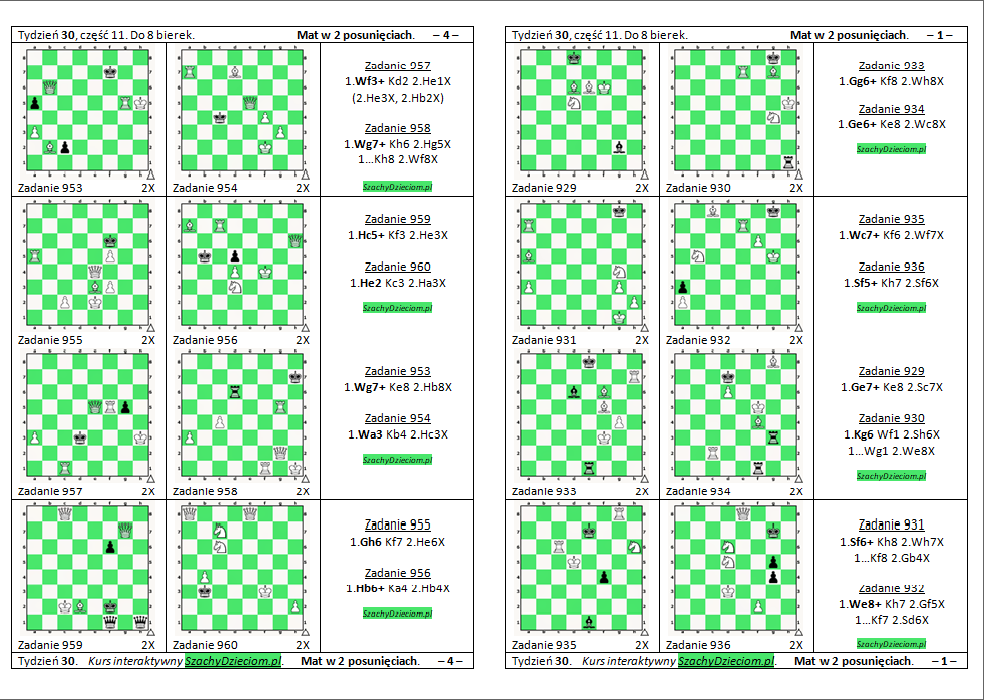 wersja do wydruku, kurs interaktywny szachydzieciom.pl, do 8 bierek, zapis szachowy, diagramy szachowe apronus, widok zestawu zadań, mat w 2 posunięciach,